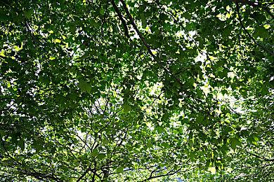 《赛博朋克2077》Steam好评数已超过50万