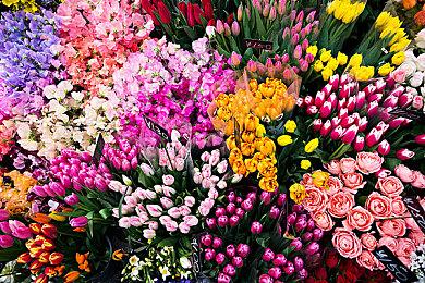 EA页游《命令与征服：泰伯利亚联盟》Steam页面 暂不支持中文